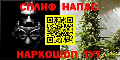 a pvp Гусев