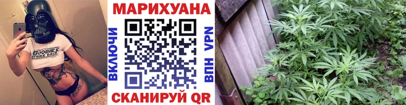 МАРИХУАНА OG Kush  Шадринск 